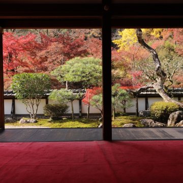 京都の旅 新潟発添乗員同行の安心ツアーならトラベルマスターズ トラマス