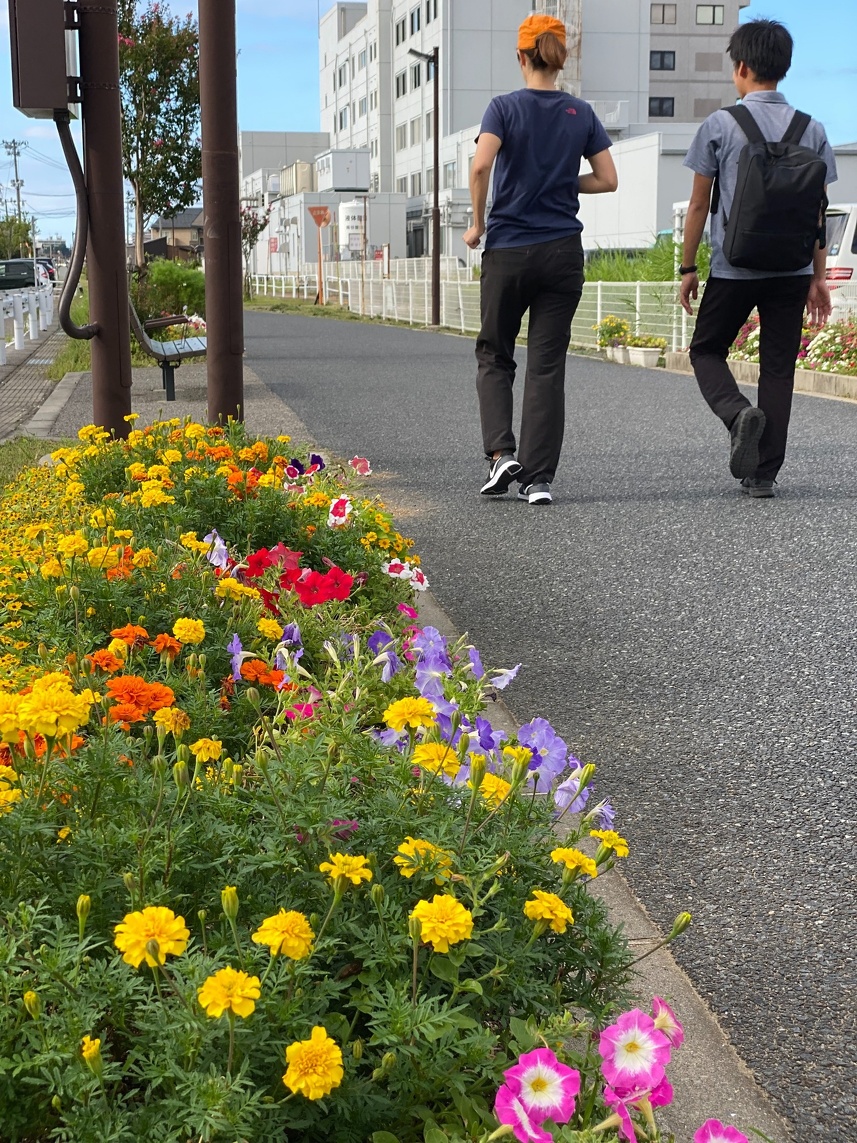 一万歩倶楽部 新潟電鉄跡地オレンジロードを歩こう 18 000トン 豪華客船 新日本海フェリーでおしゃれランチと船内探検 ハイキング 新潟発添乗員同行の安心ツアーならトラベルマスターズ トラマス